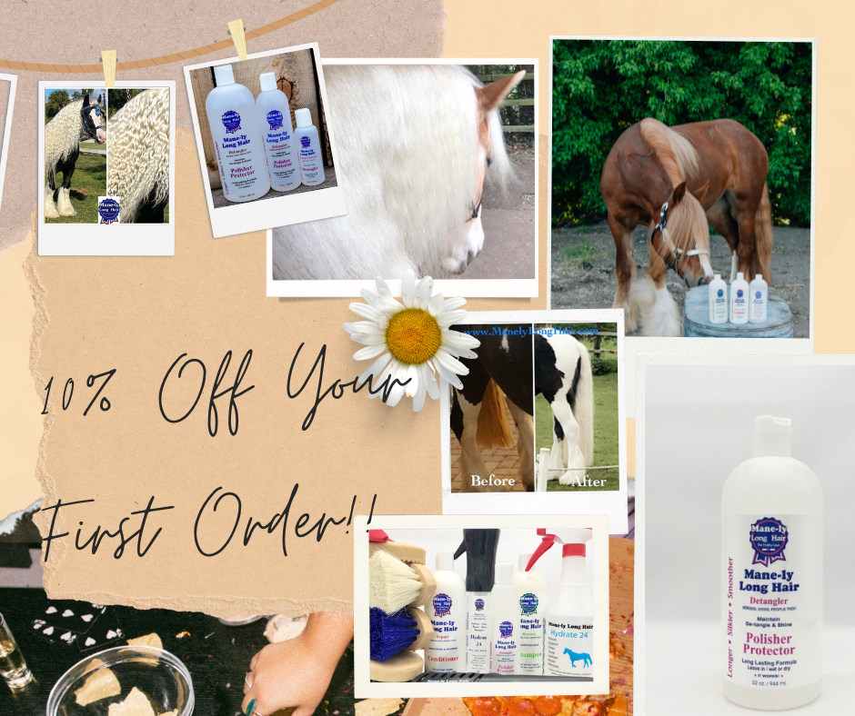 Check out our new website!