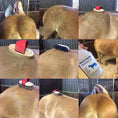 Load image into Gallery viewer, HYDRATE 24 ESSENTIALS SET