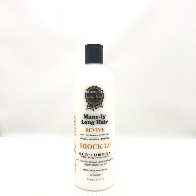 SHOCK 2.0 Damaged, Dry, Stained, Tangled Hair