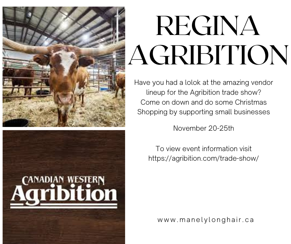 Exciting News: Willow Welsh Corgis and Gypsy Cobs at Regina Agribition!