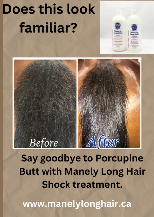 This year don't have Porcupine Butt!!