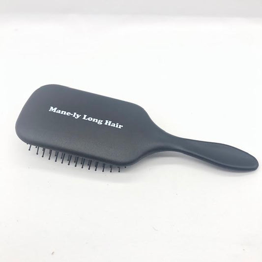 MAINTENANCE BRUSH