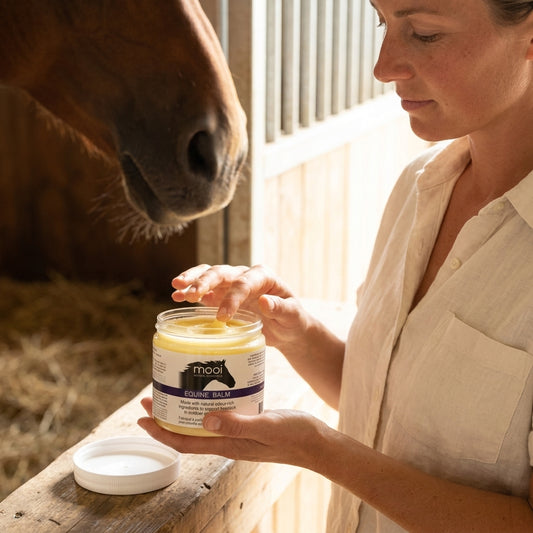 Mooi Balm