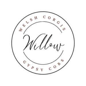 Willow Welsh Corgis & Gypsy Cobs Gift Card